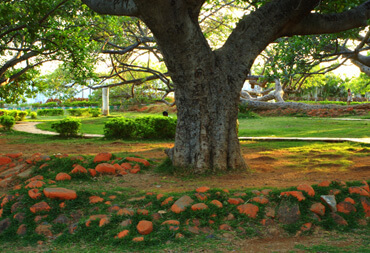 Heritage in Mahabubnagar