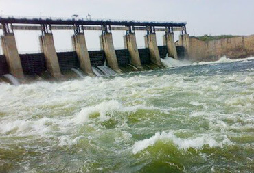 Nature in Medak