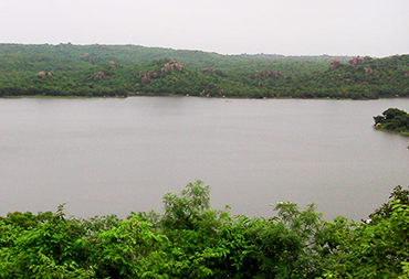 Nature in Nizamabad