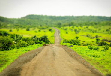 Nature in Rangareddy